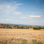 Reife Weizenfelder
Ansicht aus Richtung Schmähingen